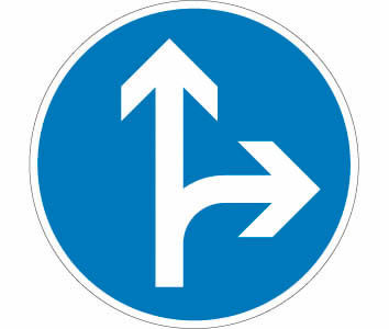 Verkehrszeichen VZ 214-20 - Vorgeschriebene Fahrtrichtung geradeaus + rechts